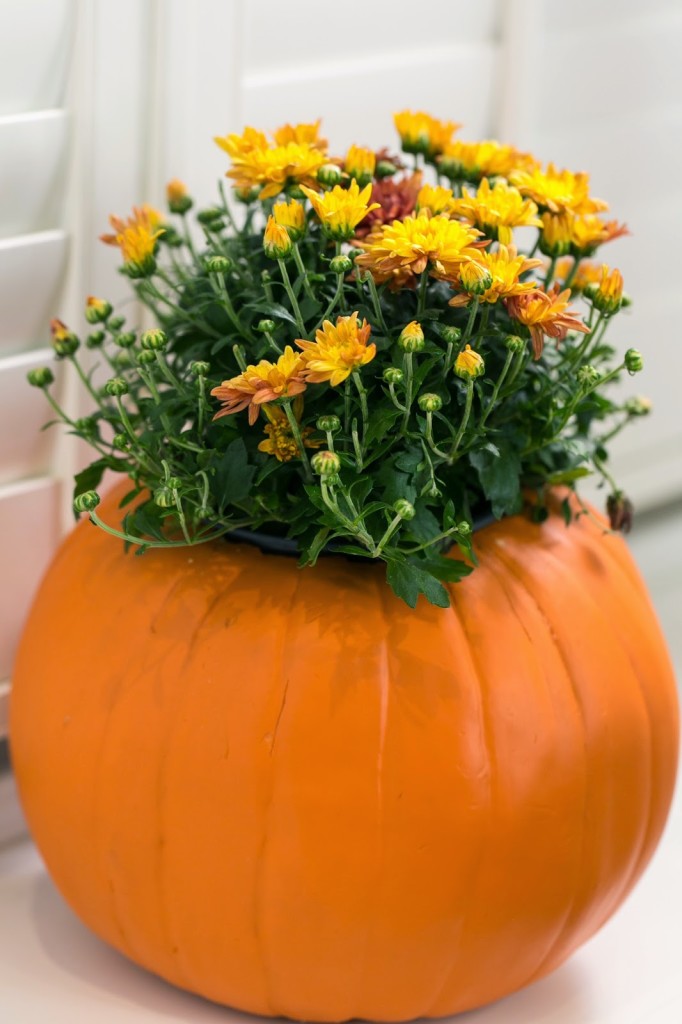 DIY Pumpkin Flower Pot - Hello Gorgeous, by Angela Lanter