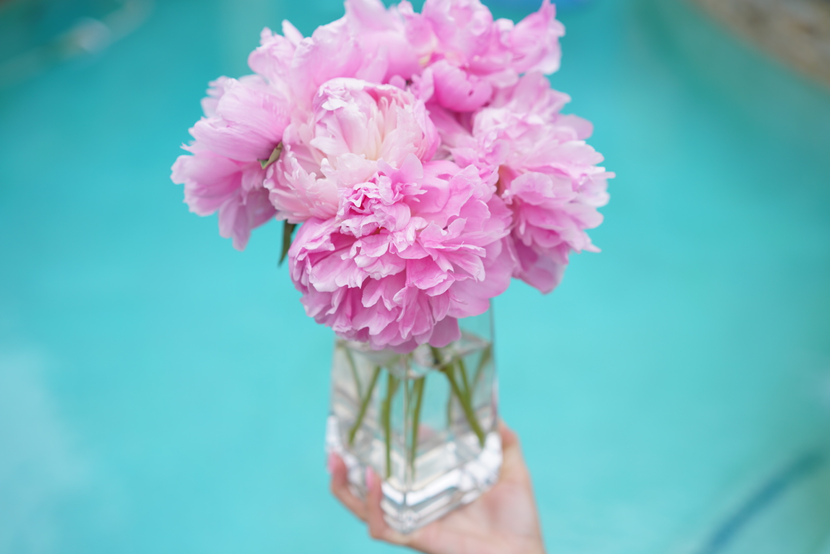 Pink Peonies Angela Lanter Hello Gorgeous