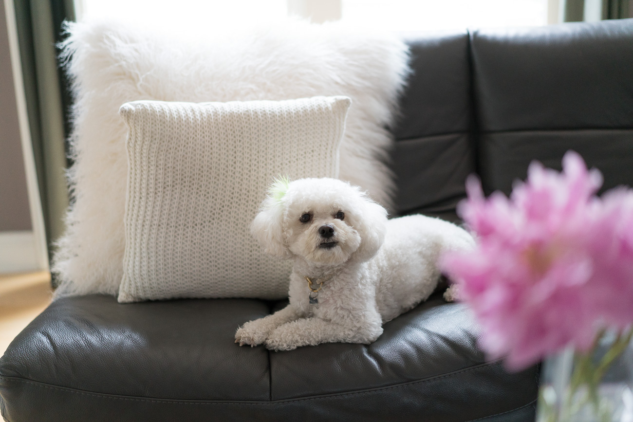 pottery barn furry pillows angela lanter hello gorgeous