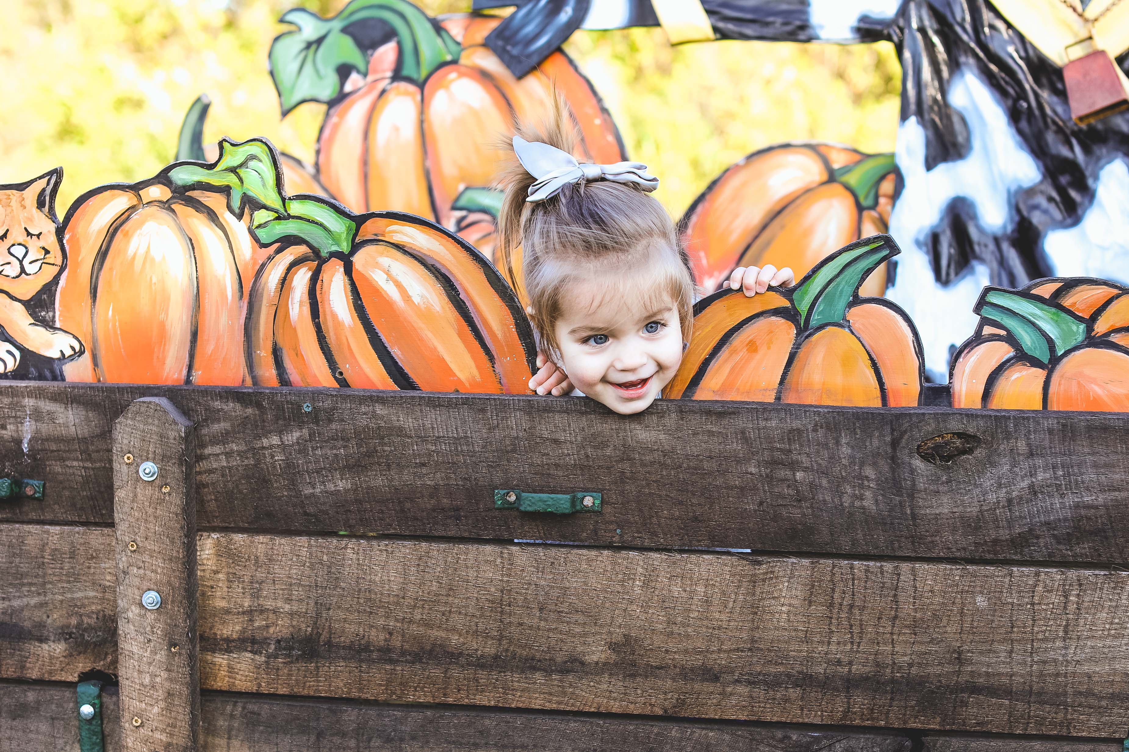 What We Wore to the Pumpkin Patch Casual Fall Outfits angela lanter hello gorgeous