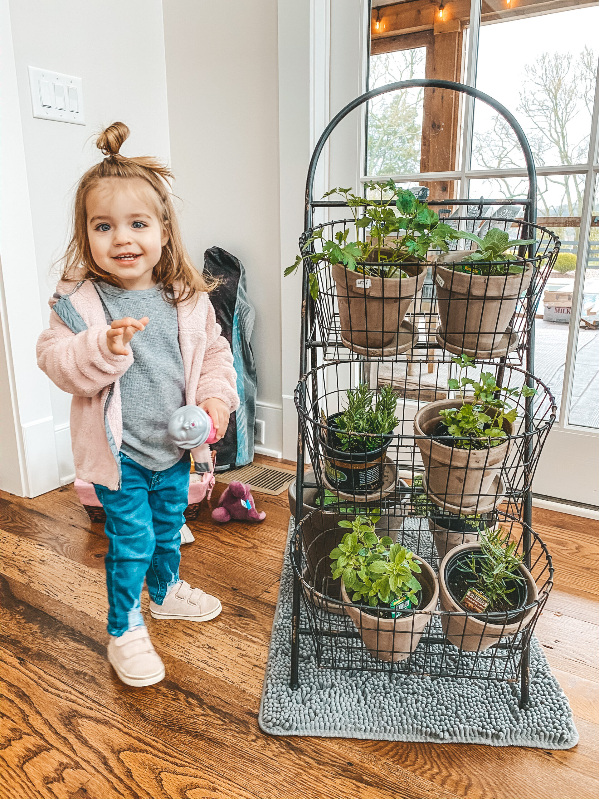 Home with Ang: How to Grow Your Own Herbs at Home