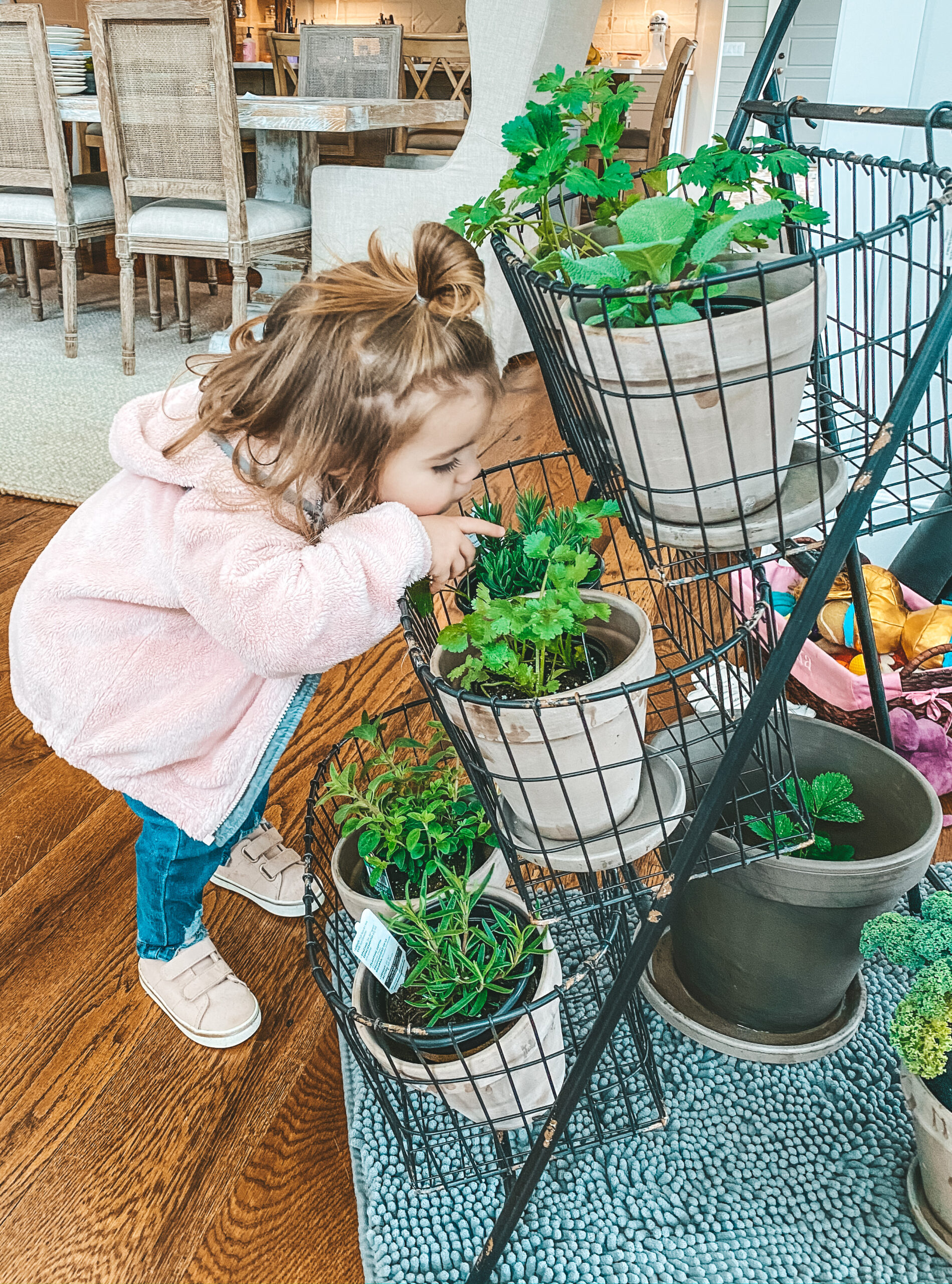 Home with Ang: How to Grow Your Own Herbs at Home