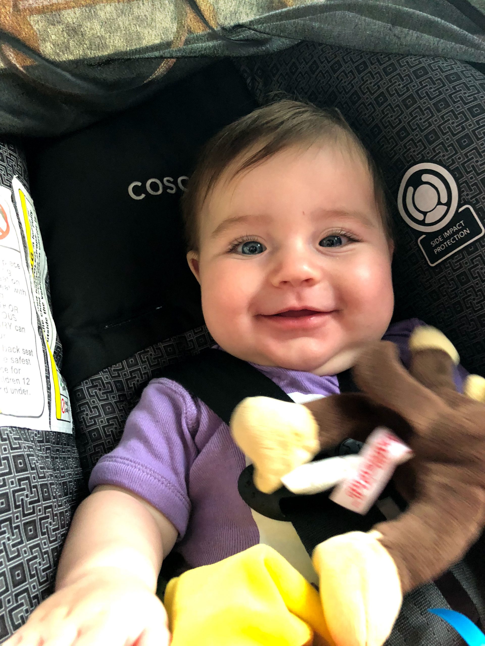 Baby Car Seat Reviews: Which Are Actually Worth Your Money?