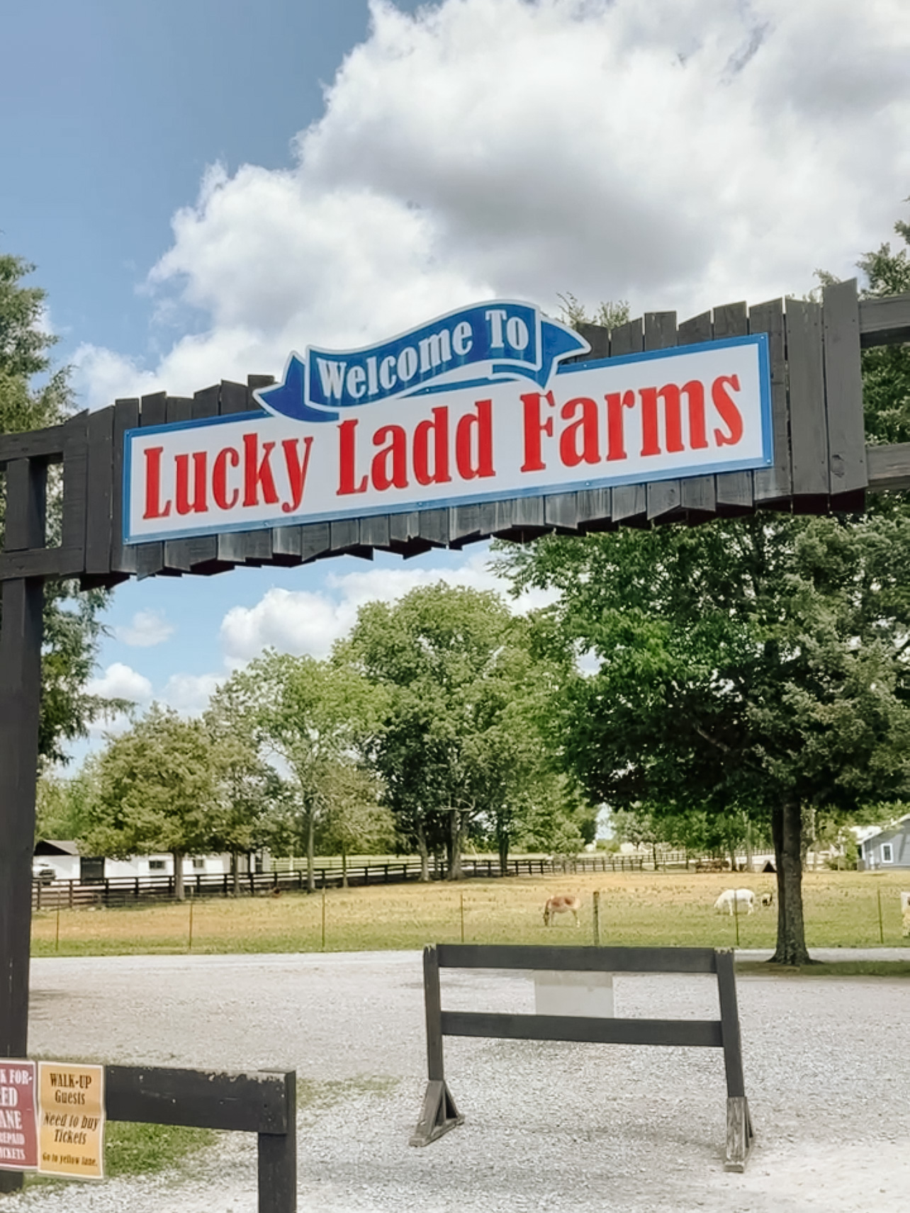 Lucky Ladd Farms entrance Nashville Eagleville Tennessee day trip for kids Angela Lanter