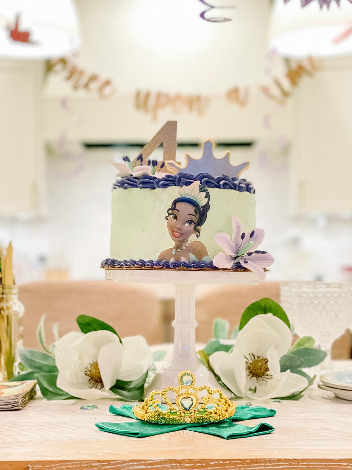 Princess And The Frog Party Decorations
