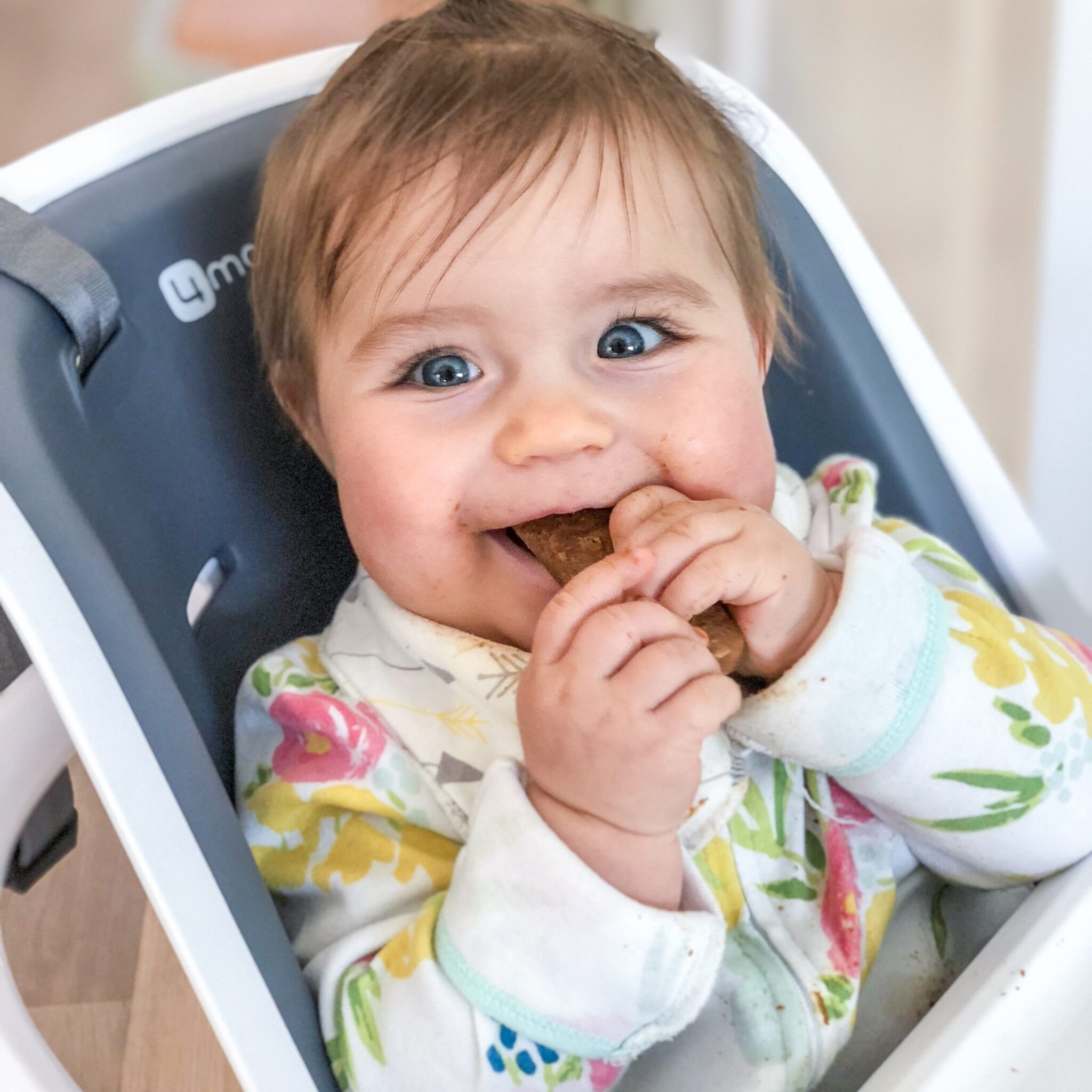 How To Make Homemade Baby Food Stage 1