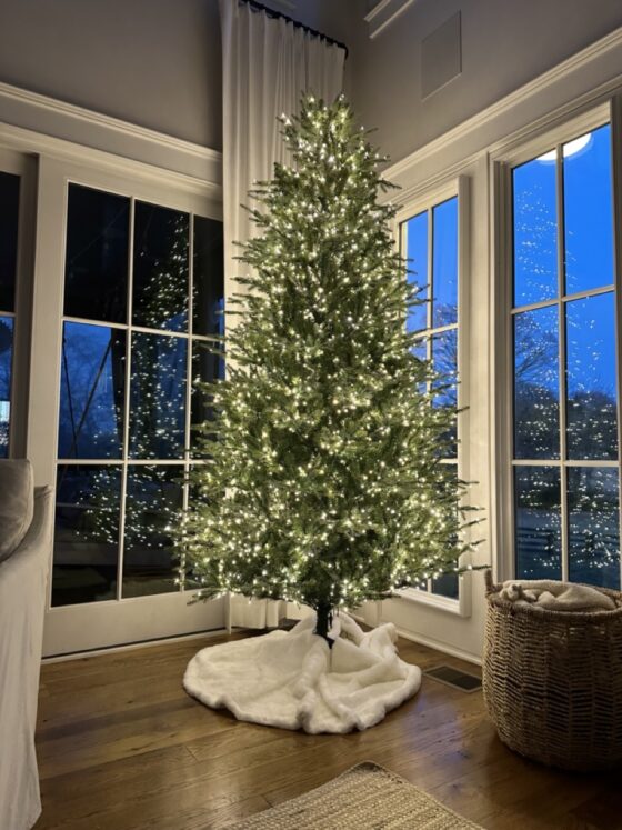 7.5 ft grand duchess balsam fir christmas tree